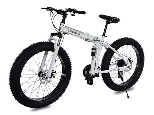 Fat Mountain Bike